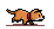 Walking Pet
